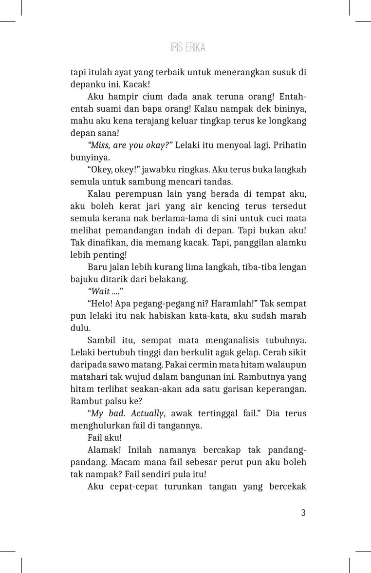 Novel Cinderlisa - Iris Erika